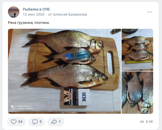 Ещё одно доступное место, причём с подъездом к воде в черте деревни Васкелово - дамба на реке Грузинка в конце улицы Аринина. Там можно половить как на разливе, так и ниже по течению, особенно весной, когда из Лемболовского на нерест поднимается рыба.
