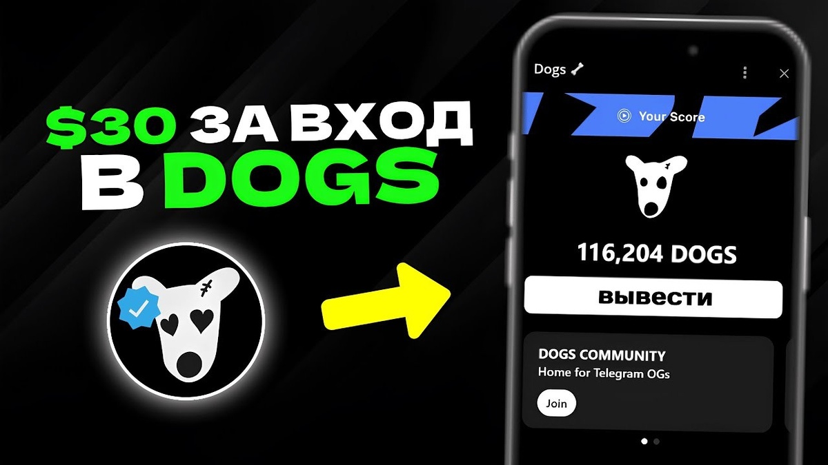 Разработчики проекта дают нам куча разных намёков о том, что листинг их монеты состоится уже совсем скоро! В этой же статье мы с вами попробуем разобраться, когда именно состоится листинг токена DOGS и сколько мы сможем заработать за продажу всех наших монеток.

Сколько будет стоить DOGS?
Для начала давайте разберёмся с ценой монеты. Недавно на биржах Bitget и Gate появились премаркеты, на который люди готовы платить 0.004-0.006$ за один токен DOGS, а это честно говоря очень даже хорошо, учитывая то, как легко добываются эти токены.


Примерно такую же цену за монету мы сможем увидеть уже на самом листинге.

Когда листинге DOGS?
Разработчики Догс в своём официальном телеграмм-канале выложили пост с вот таким артом(смотри ниже), на котором мы можем увидеть календарик в котором с свою очередь обведено число 14.


Число мы знаем, осталось узнать месяц и тут так же всё просто. Разработчики уже Notcoin выложили пост о том, что: "Август это сезон собак", а как все уже знают ноткоин напрямую причастен к созданию приложения DOGS, поэтому информация максимально достоверная. Подытожив, становится понятно что листинг монеты Догс состоится 14 августа этого лета