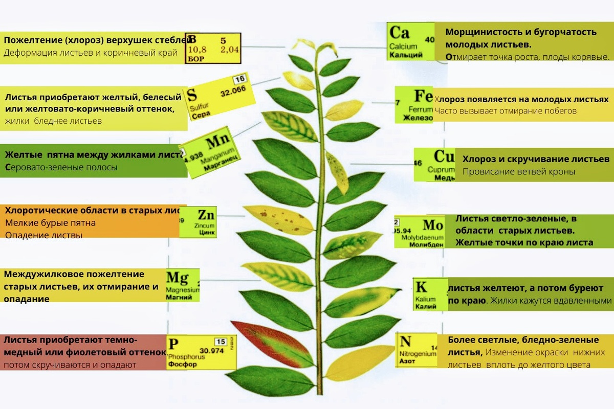 Простая таблица