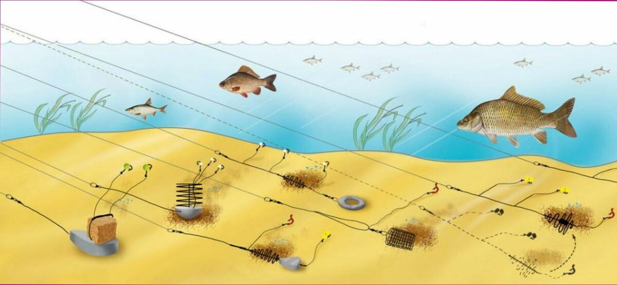 Фото с сайта: https://avatars.dzeninfra.ru