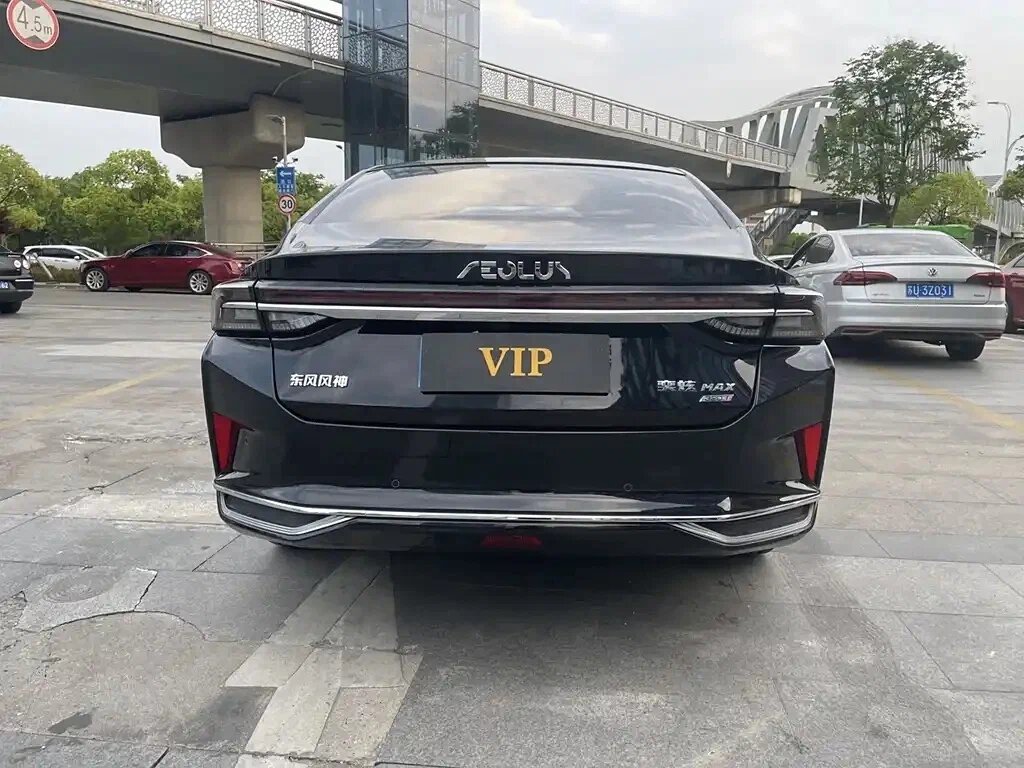 Dongfeng Aelous Yixuan Max. Источник фото - auto.ru