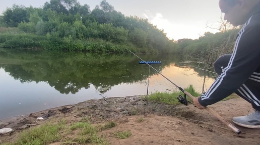 Рыбалка на Мёше, бешеные поклевки плотвы и густеры)))) #плотва #fishing #рыбалка #охотарыбалка #fish #рыба