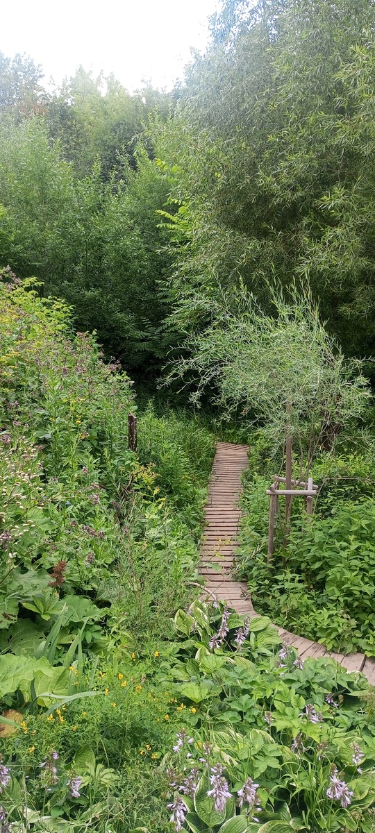 Летний Сад Соловьёв