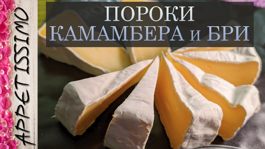 КАМАМБЕР И БРИ: 10 пороков, причины и пути решения ☆ Сыры с белой плесенью