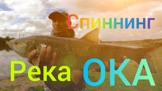 Рыбалка на Жереха. ОКА Река. Район Ступино. #NEKFiSh