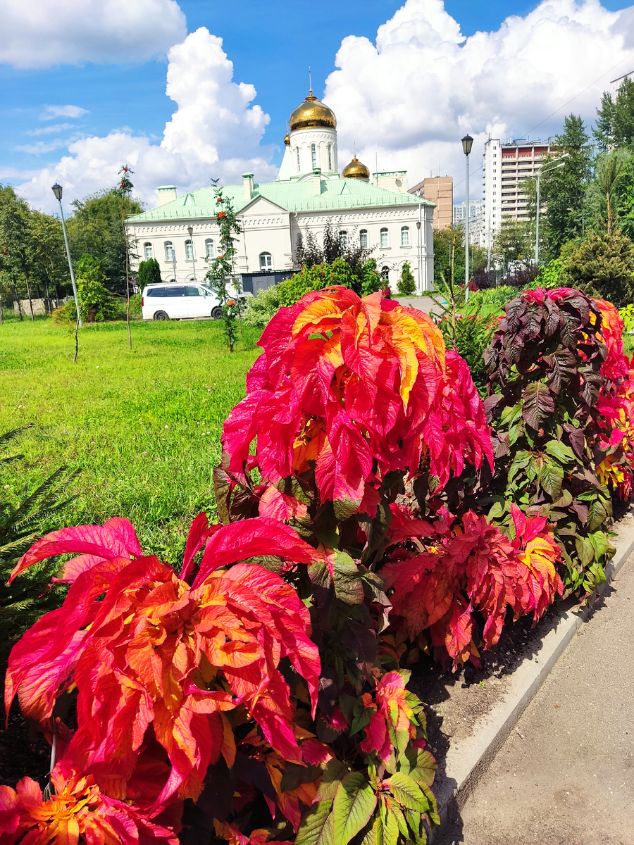 Начало пути