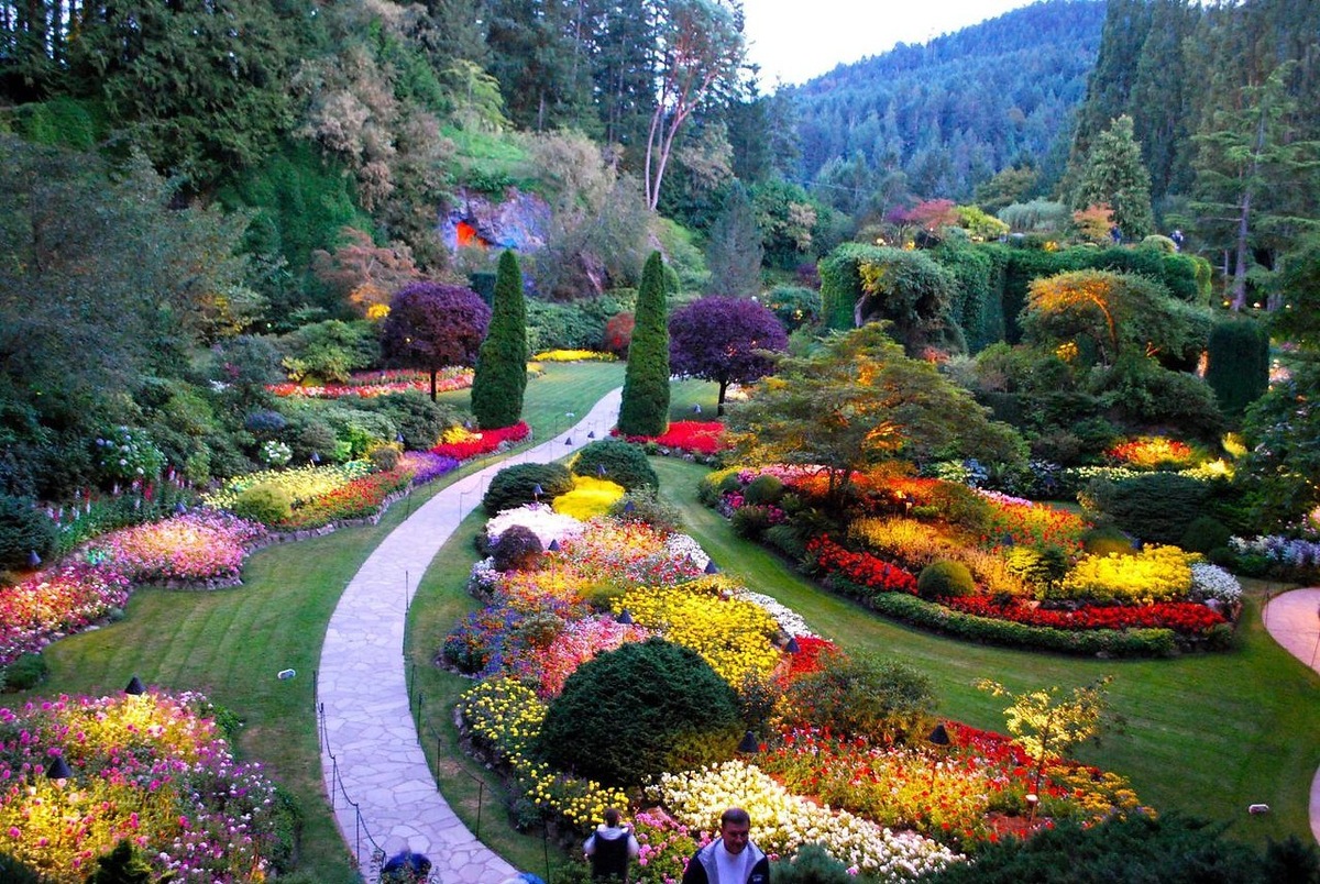 the Butchart Gardens