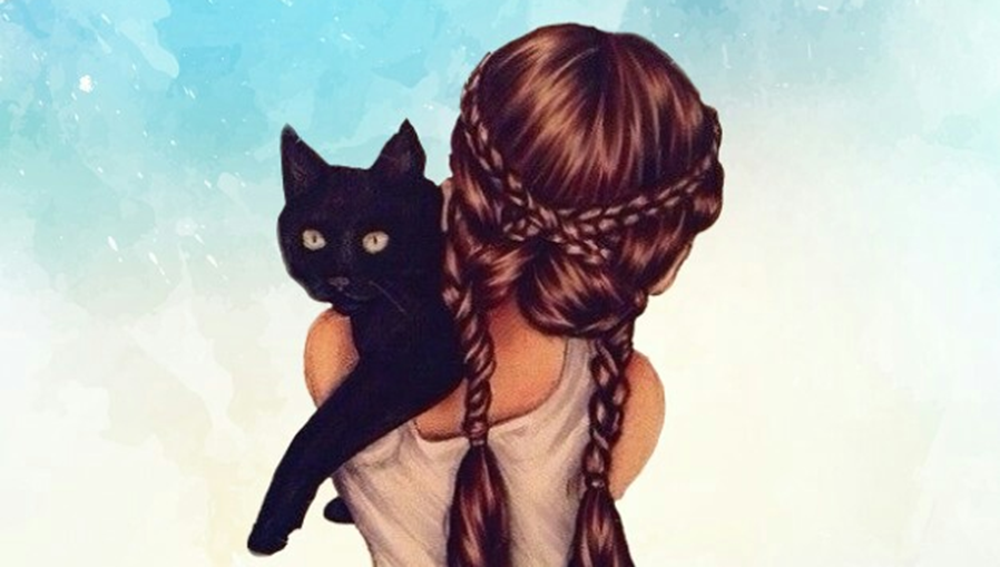 скриншот сделан автором канала