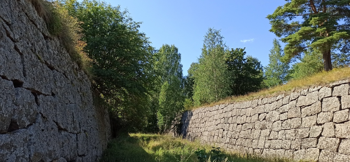 Остатки Тронгзудской крепости, Высоцк
