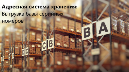 Видеоинструкция ОСО - Полная выгрузка серийных номеров из базы (Адресная система хранения)