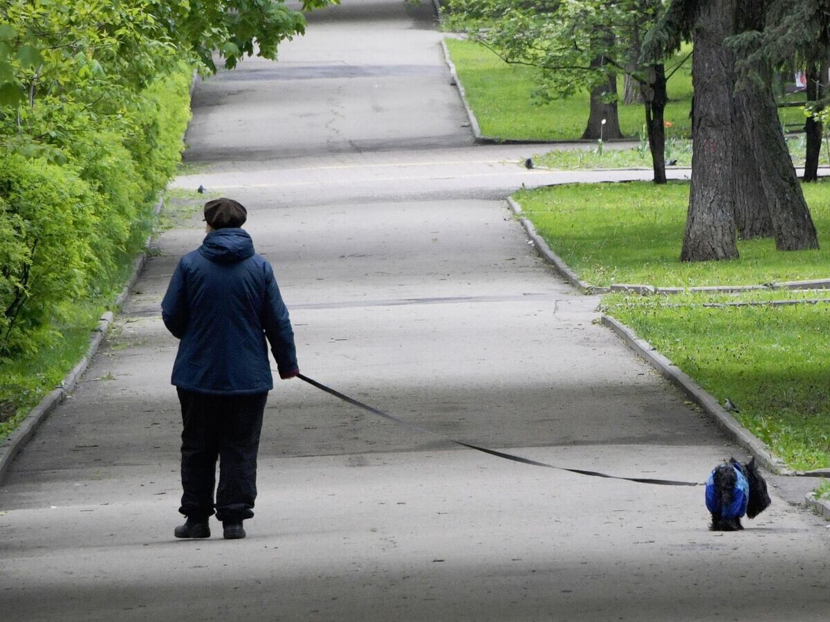    Женщина с собакой во время прогулки© РИА Новости / Владимир Федоренко