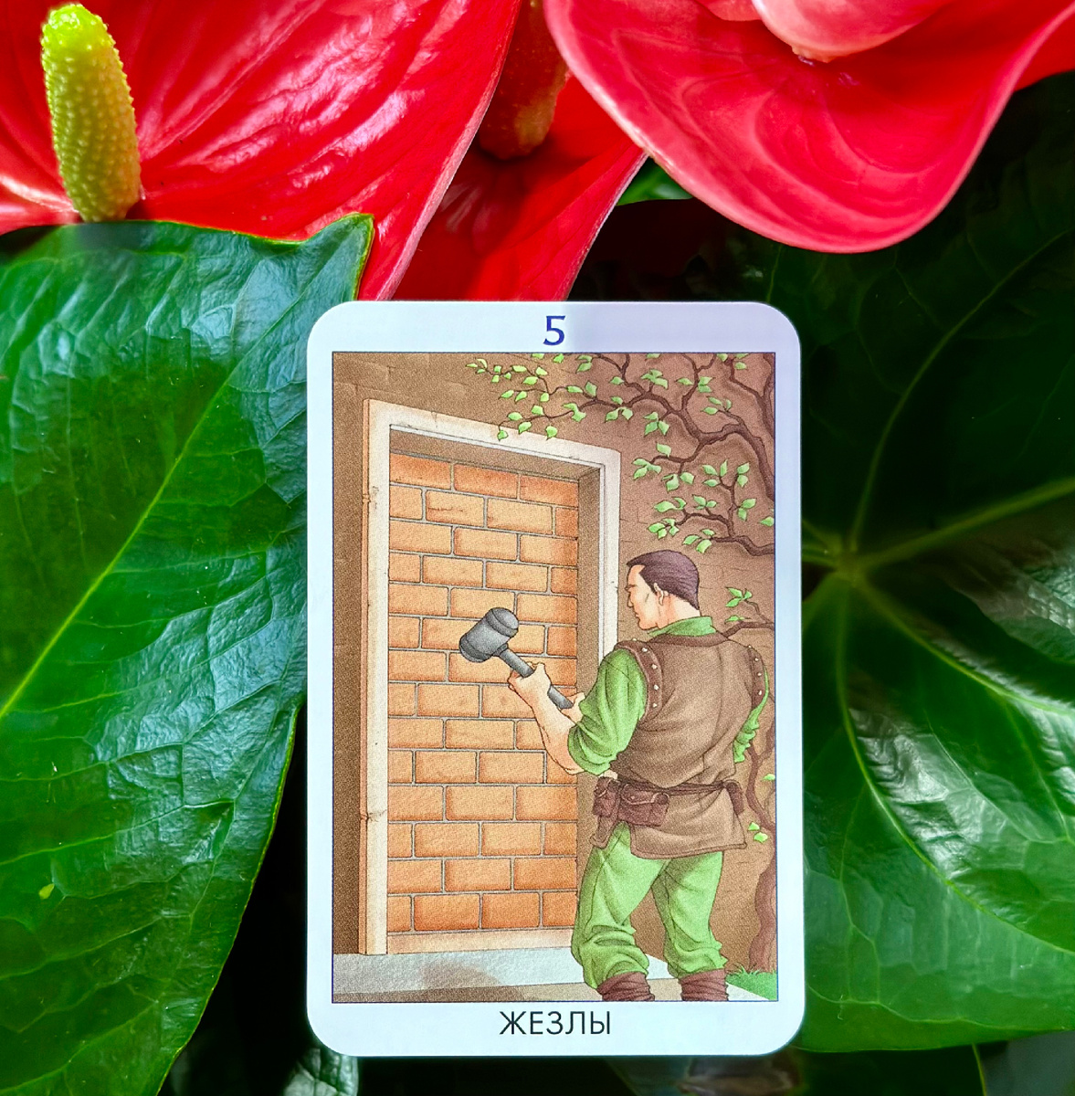 Подсказка для Близнецов.