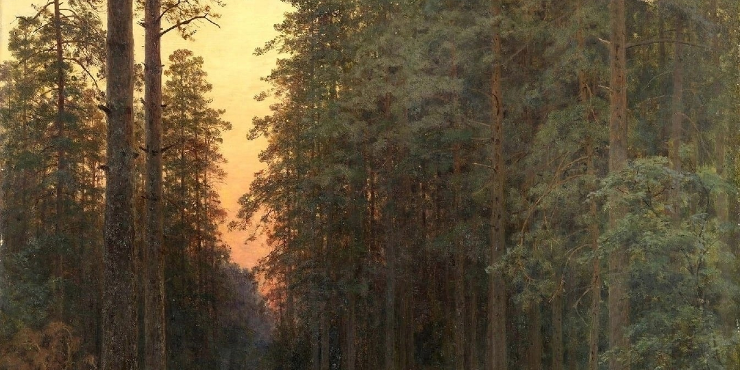 Русские леса и дороги «от которых поседели бы и младенцы»