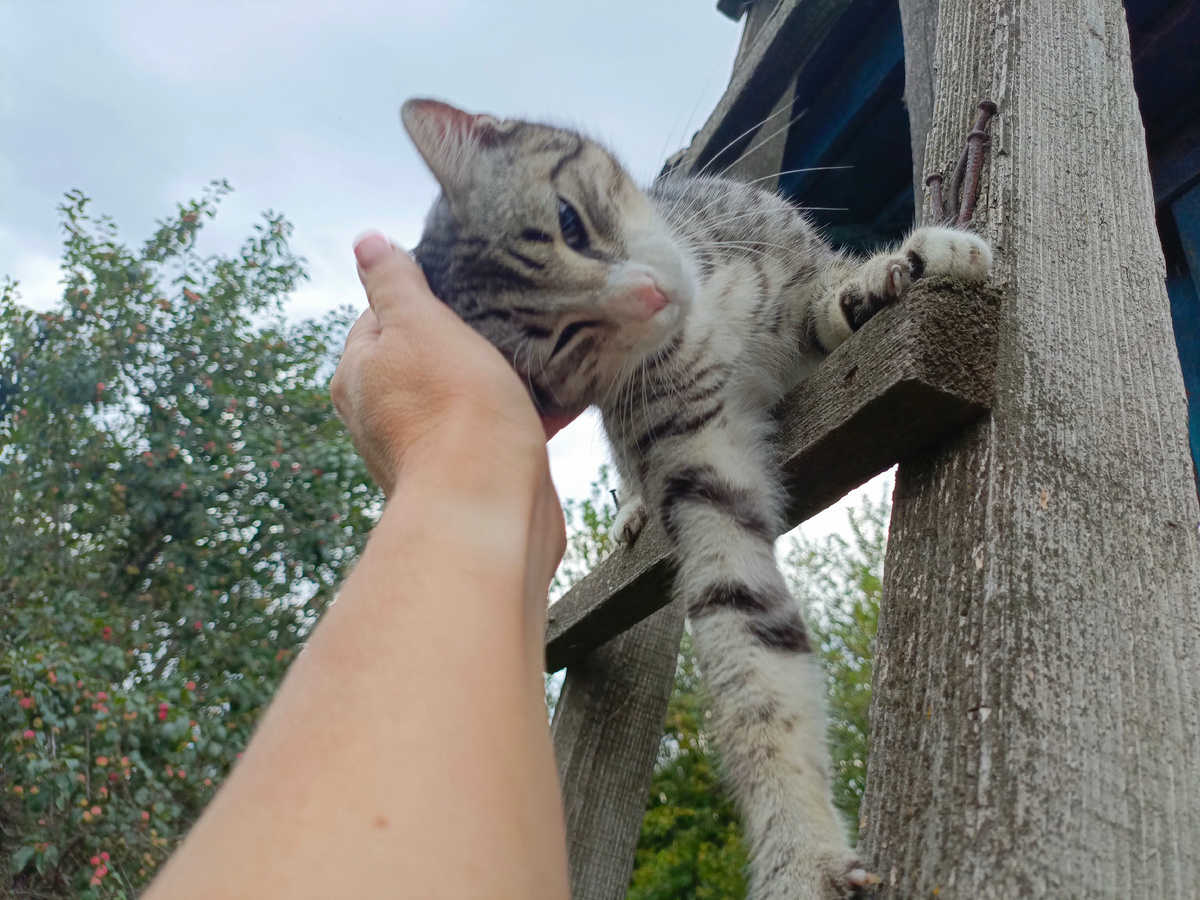 Главный мой помощник. 🥰