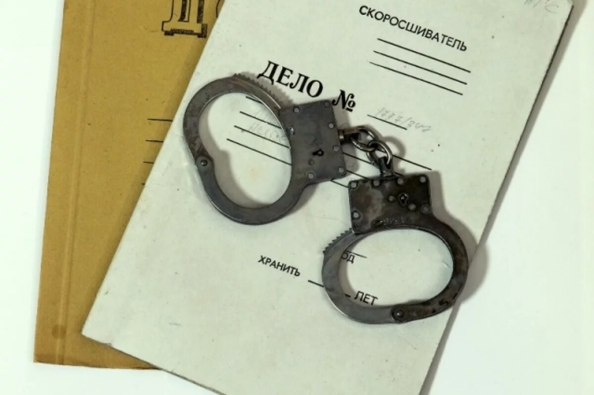    Установлены 12 фигурантов по делу Логиновой о торговле новорожденными