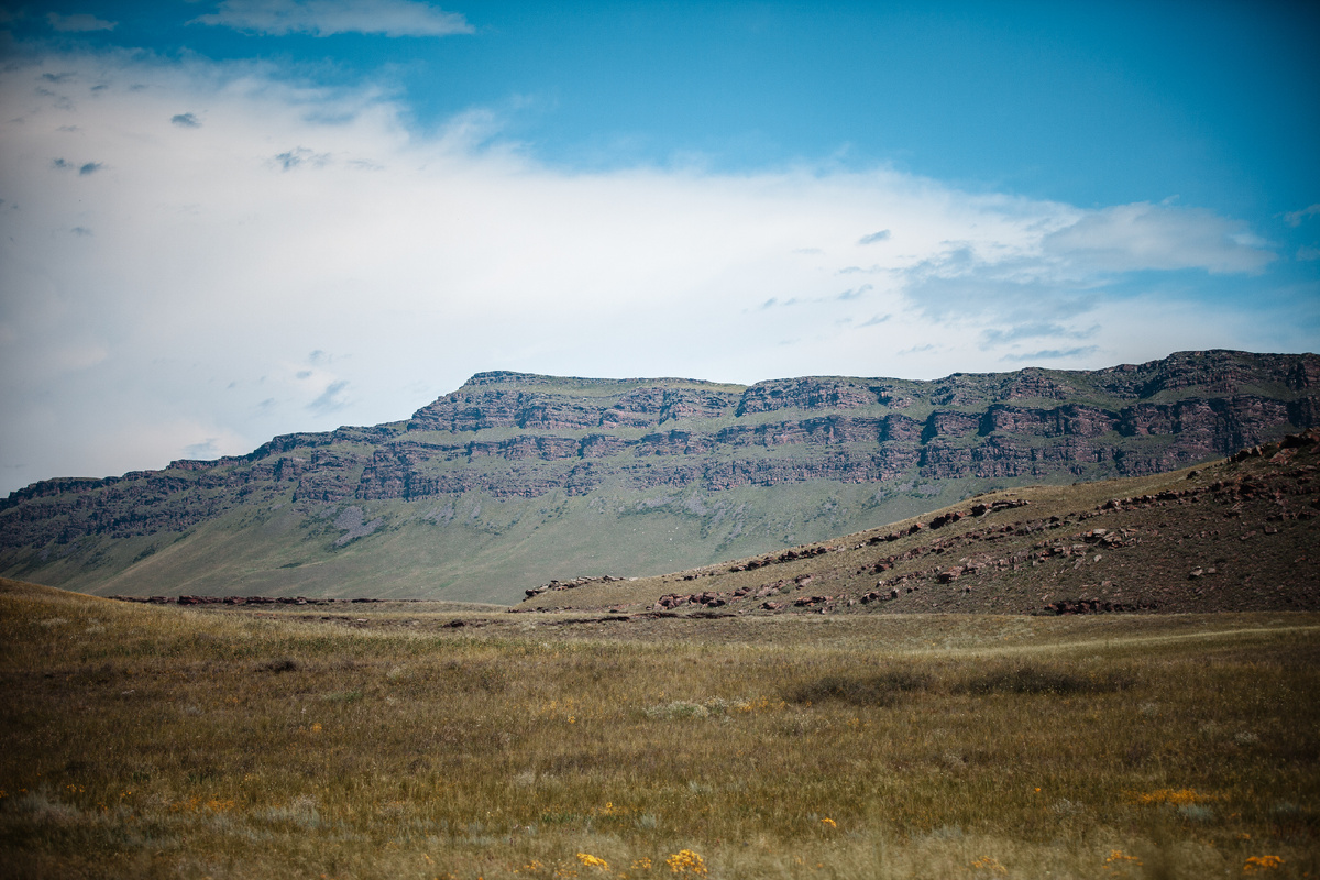 Гора 40 зубьев