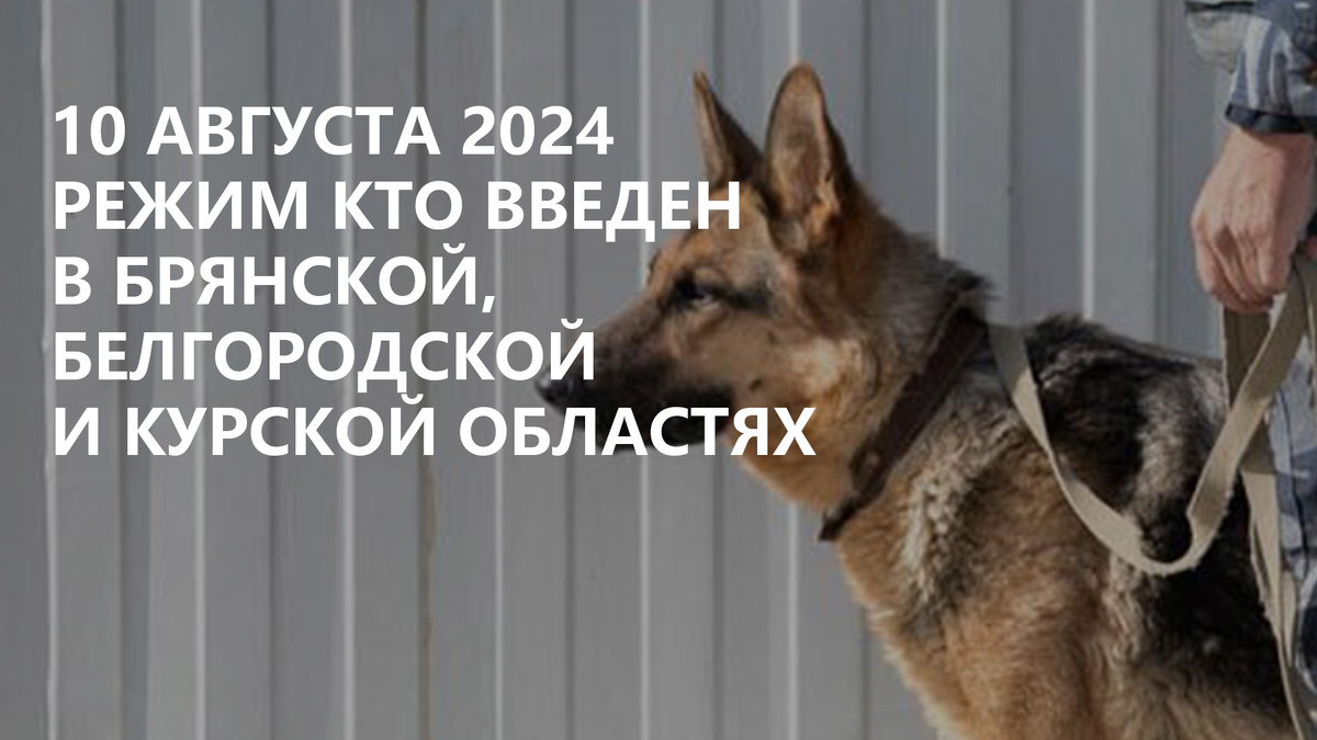 Чтобы защитить граждан и предотвратить новые атаки, с 9 августа 2024 года введён режим КТО. 
