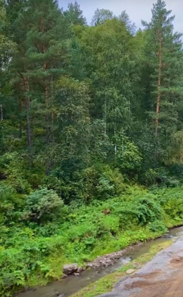    Алексей Маклаков. Источник: @alexeymaklakov_official*