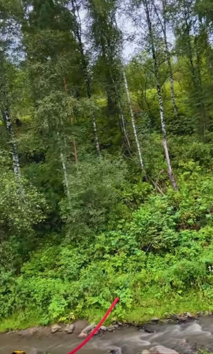    Алексей Маклаков. Источник: @alexeymaklakov_official*