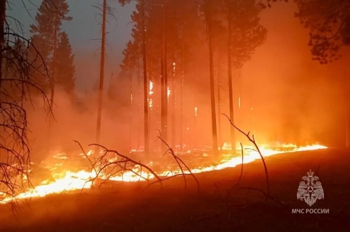   78 лесных пожаров действует в Якутии, 10 – на особом контроле