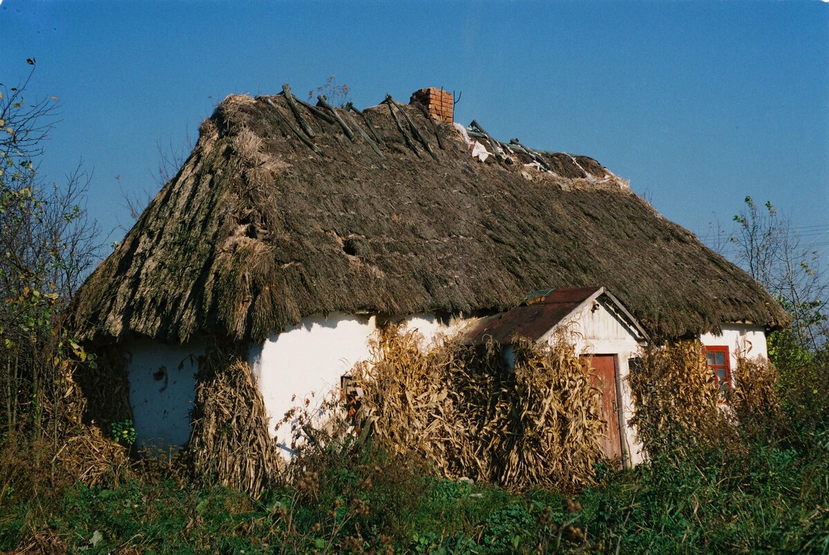 фото из интернета Так утепляли турлучные хаты на зиму стеблями кукурузы.