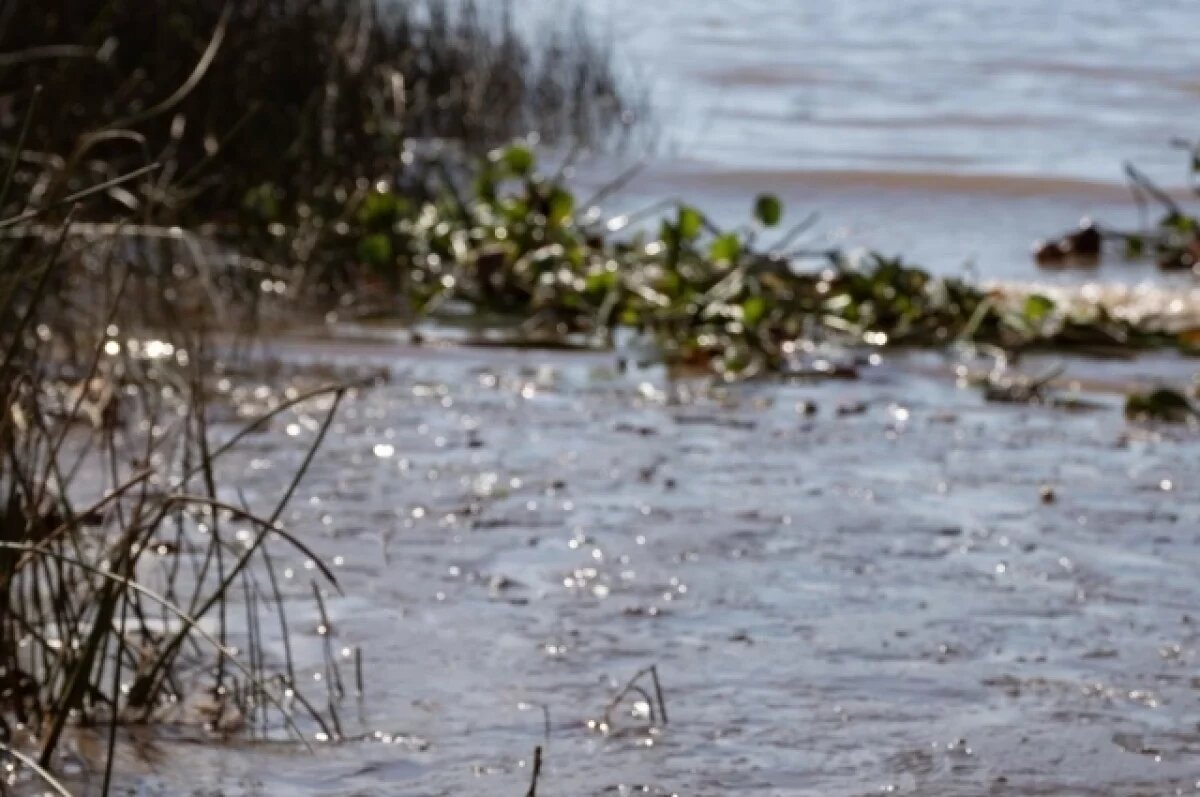    Эковолонтеры очистят от мусора берег Пермяковского озера в Нижнем Новгороде