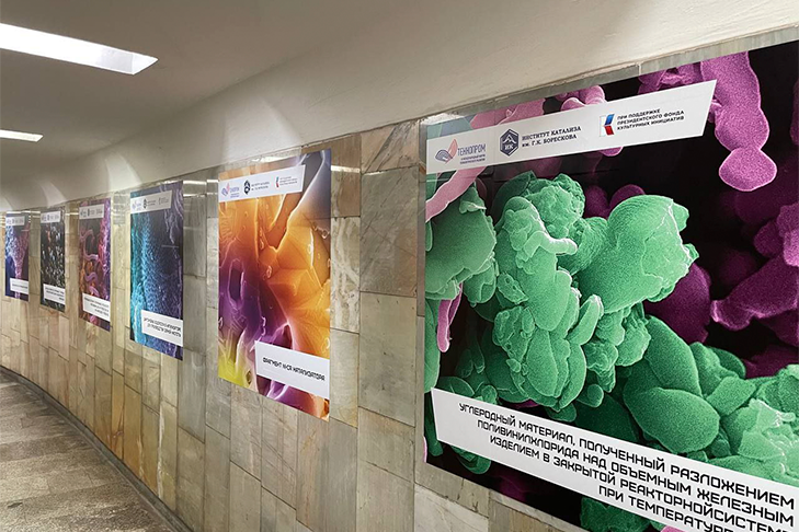 © Фото Миннауки НСО.📷
