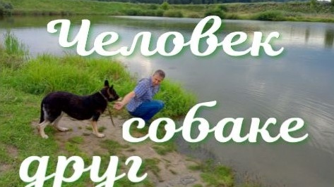 Человек собаке друг! 🐶