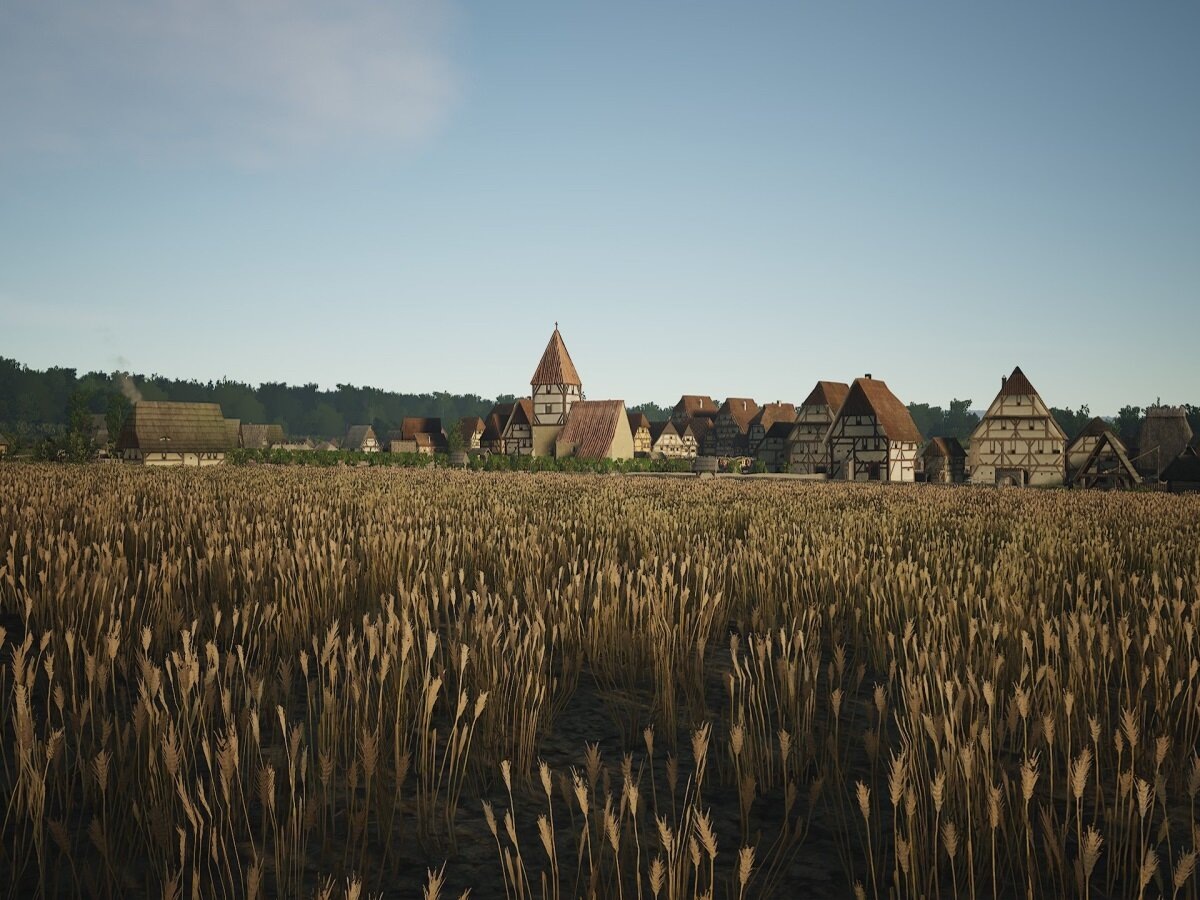    Как улучшить графику в Manor Lords: повышаем FPS и убираем вылеты