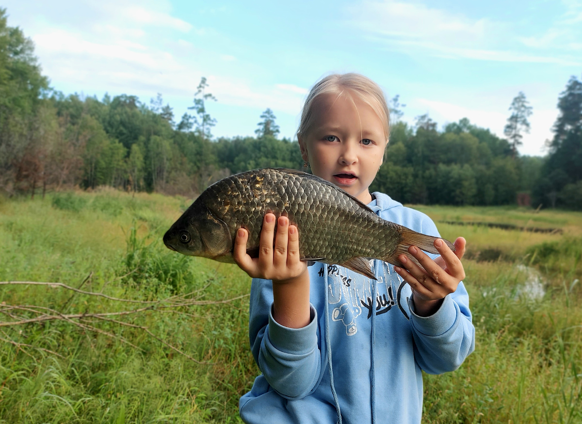 Крупный карась в августе попадается довольно часто