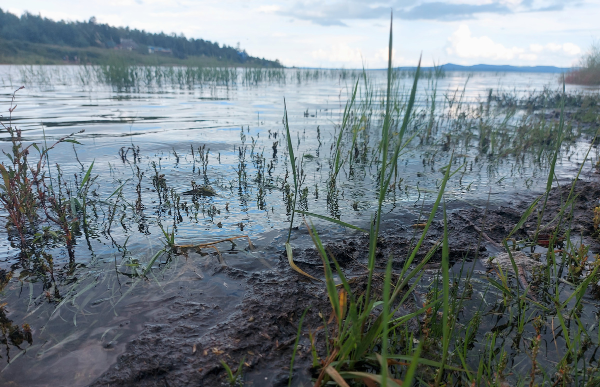 Где-то тут кормятся караси