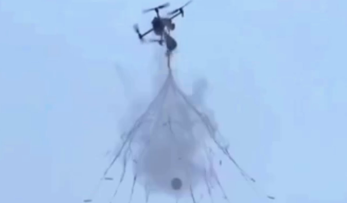 Фото из открытых источников