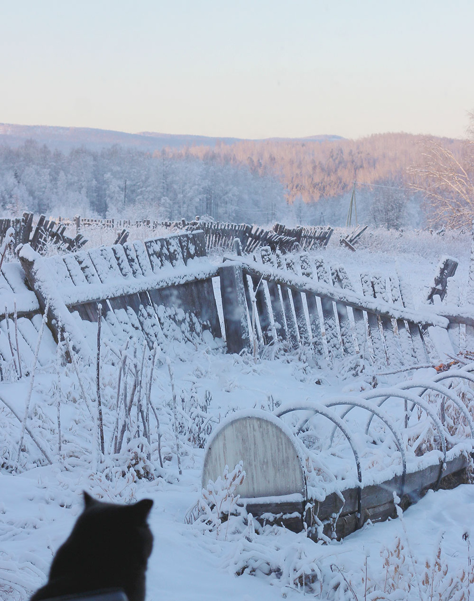 а из нашего окна половина деревни видна
