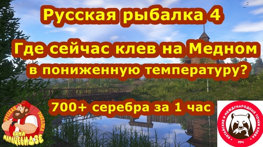 Где сейчас фармить на Медном в пониженную температуру? Русская Рыбалка 4.