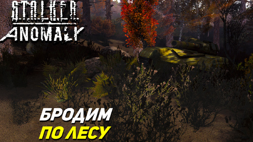 БРОДИМ ПО ЛЕСУ ➤ S.T.A.L.K.E.R. Anomaly #14