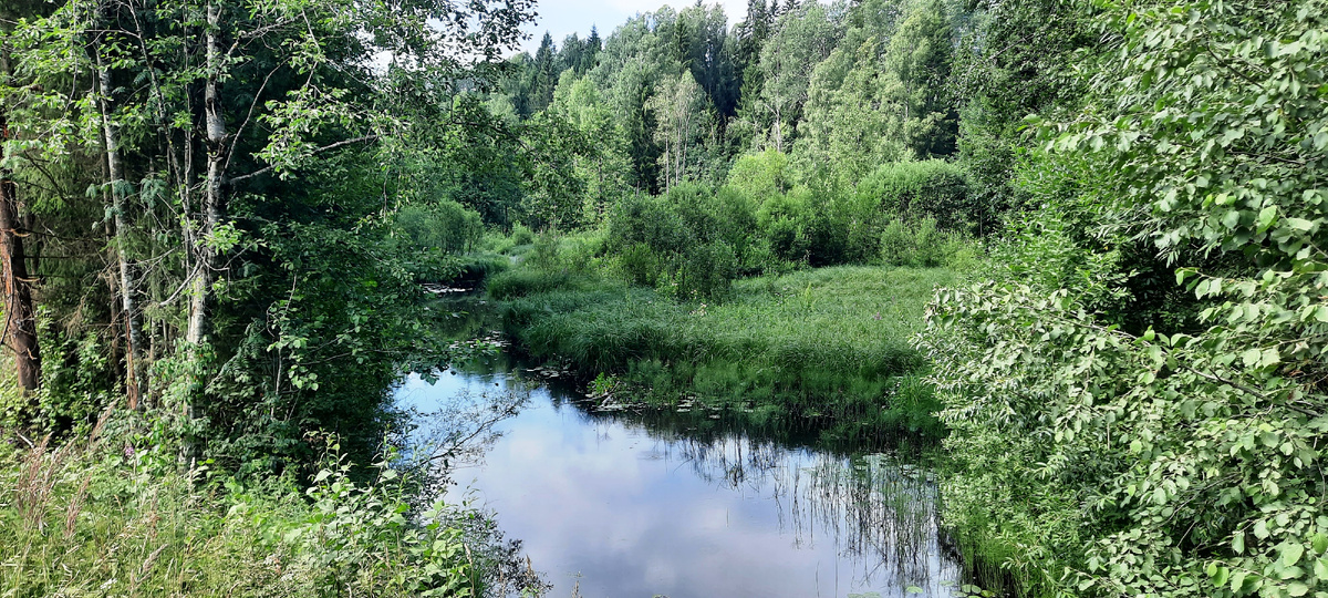 а это по течению вверх. Волга, петляя, уже пробежала 10 километров.