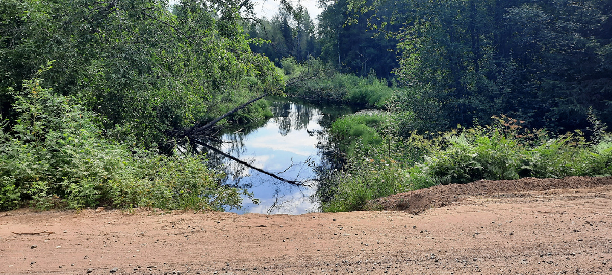 Вид вниз по течению,