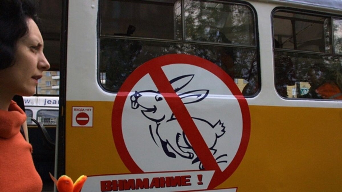 Взято из открытых источников