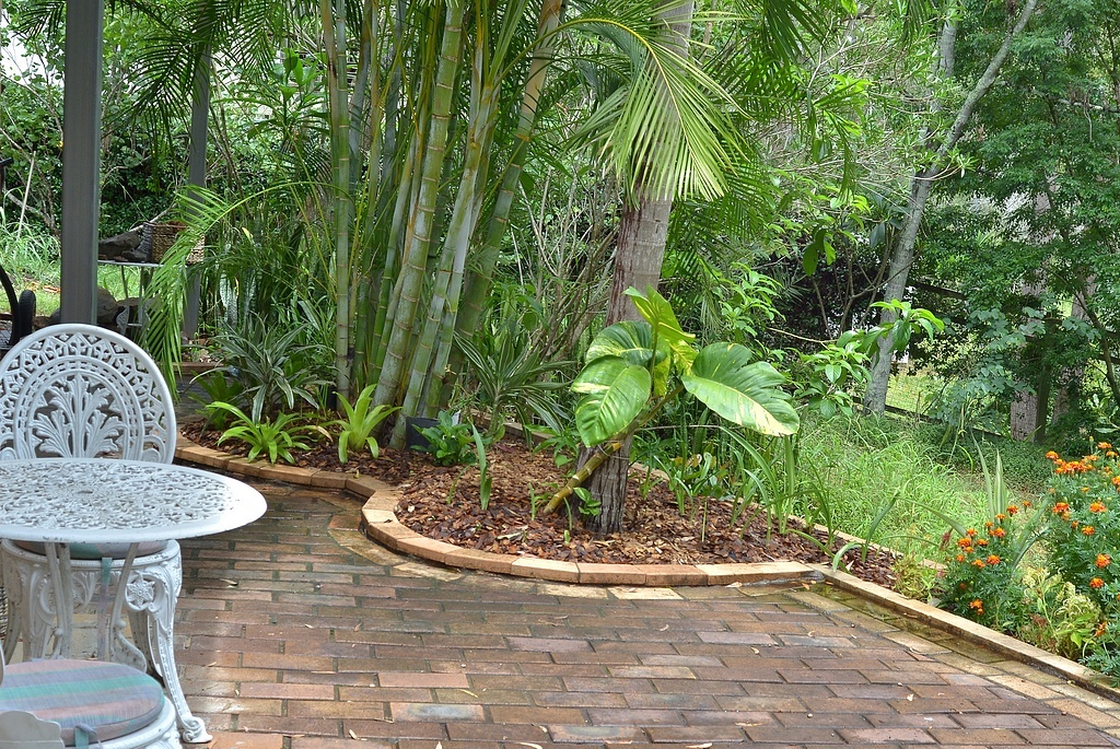 Наш задний дворик, фото из домашнего архива