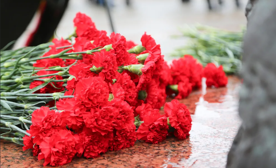Гвоздики возложенные к памятнику. 