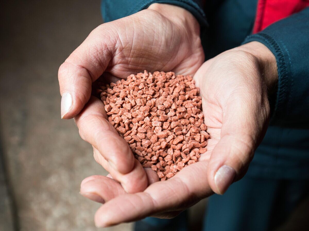    Гранулированные калийные удобрения на складе готовой продукции на Сильвинитовой обогатительной фабрике в Пермском крае© РИА Новости / Виталий Тимкив