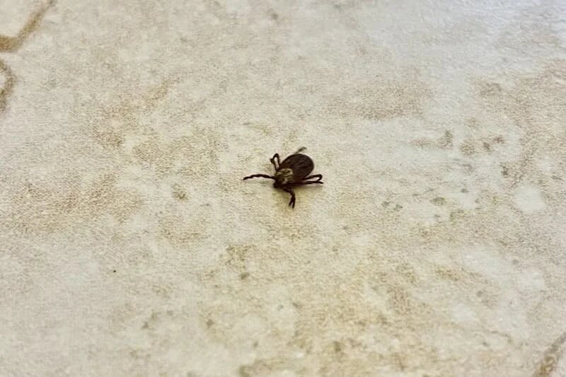 Фото: SterlitamakTime.ru