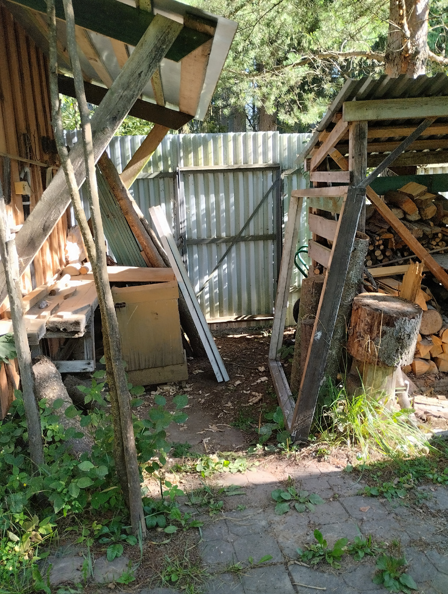 Лес за калиткой