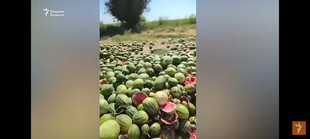 Что бы вы сделали, если бы вы были фермером?