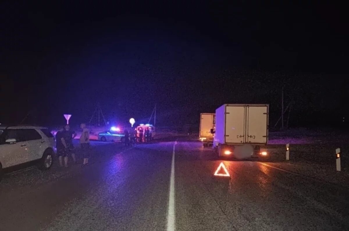    Ставрополец за рулём грузовой ГАЗели переехал мужчину, лежащего на дороге