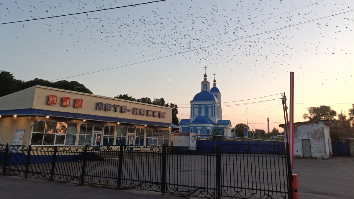 Автовокзал Мичуринска