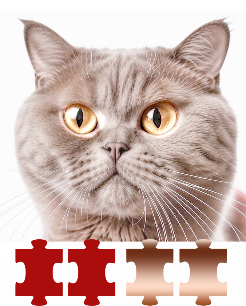 Фавн (осветленный циннамон)