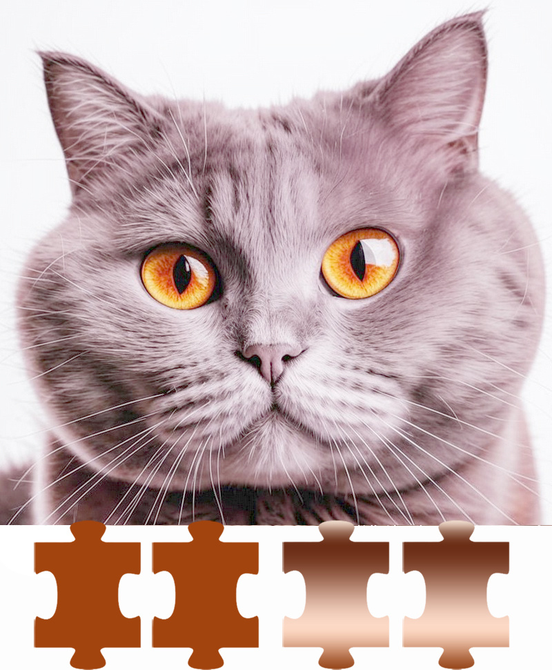 Лиловый окрас (осветленный шоколадный)