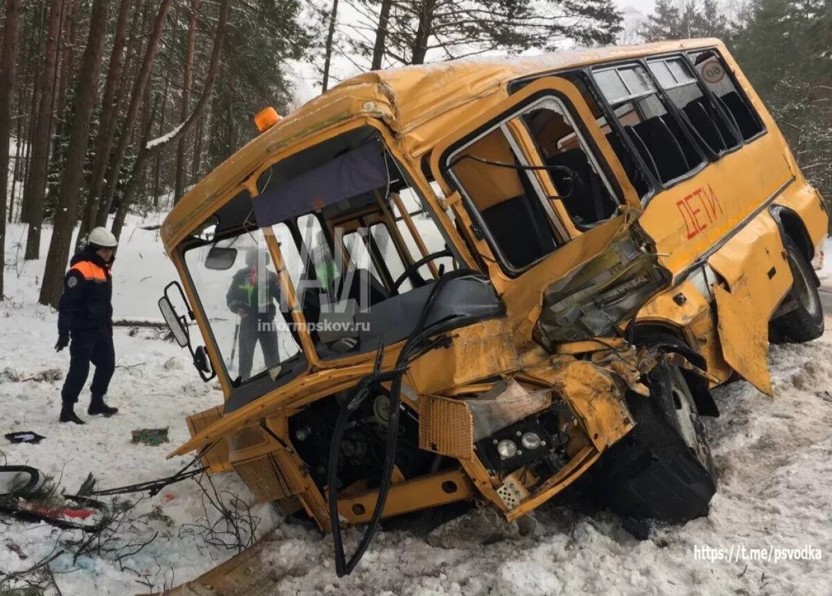    Виновник ДТП со школьным автобусом под Псковом предстанет перед судом