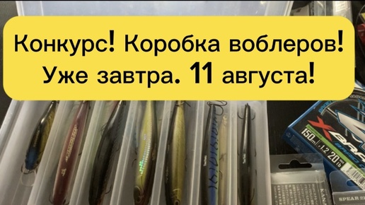 Коробка воблеров подписчику!,